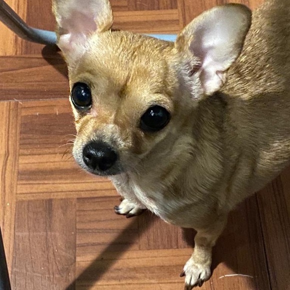 Meet your Posher, Maria - Picture 1 of 1